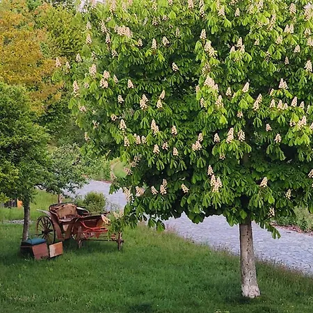 Exklusive Mit Sauna Und Zwei Kaminen - Fuer Kurzentschlossene Großharthau