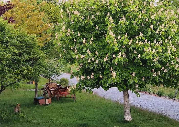Ab 1 Pers Hexenburgbeidresden 2-geschossige Mit Eigener Sauna, 2 Kaminen - Naehe Saechsische Schweiz Dresden Großharthau